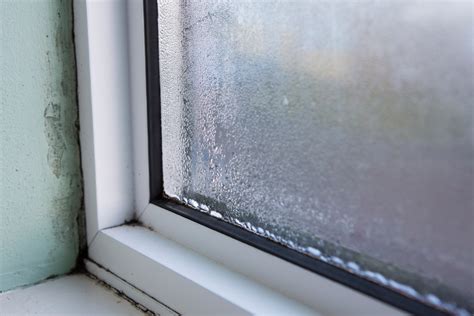 My Home Window Is Leaking: How to Fix It